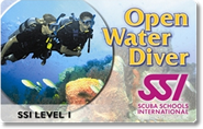 Learn to Scuba Dive with Bamboo Reef Scuba Diving Centers