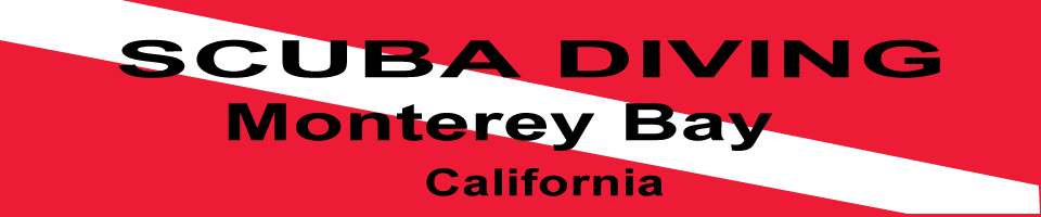 Scuba Monterey | Diving in Monterey Bay California